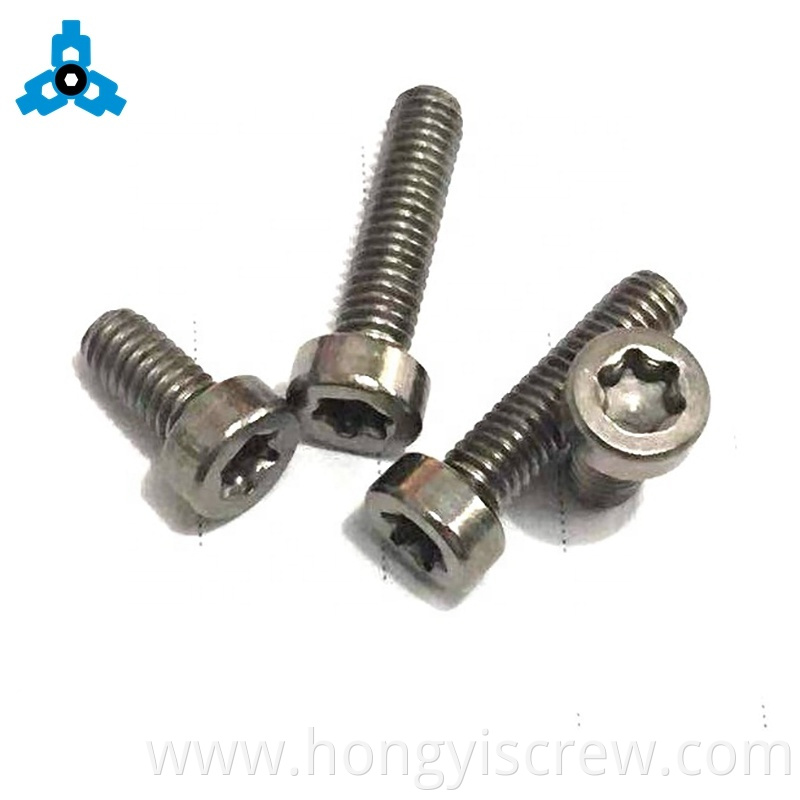 Stainless Steel 304 316 Torx Socket Cap Head Machine Screws